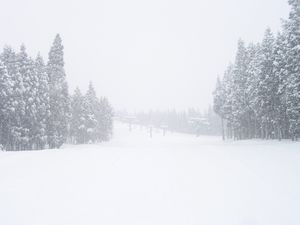 f0172093_19263113.jpg