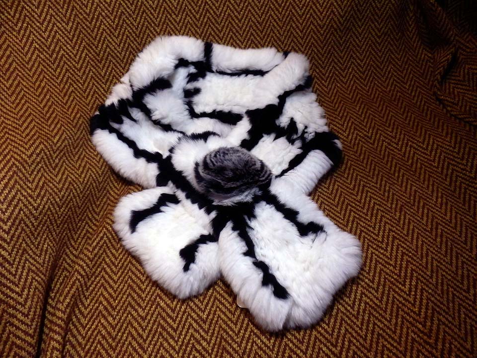 c0260295_1532238.jpg