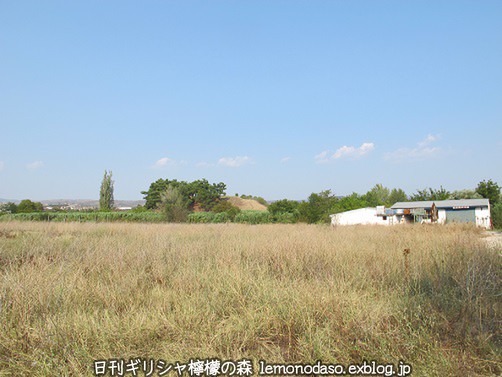 c0010496_957651.jpg