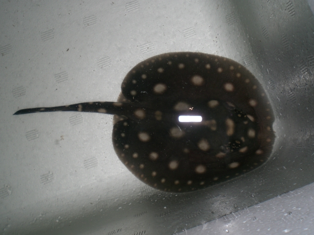 e0143096_14252267.jpg
