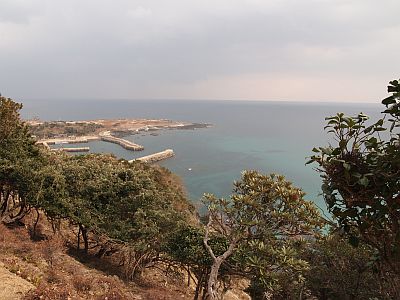 e0198197_1212163.jpg