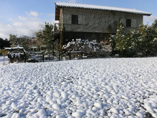 c0156104_22251012.jpg