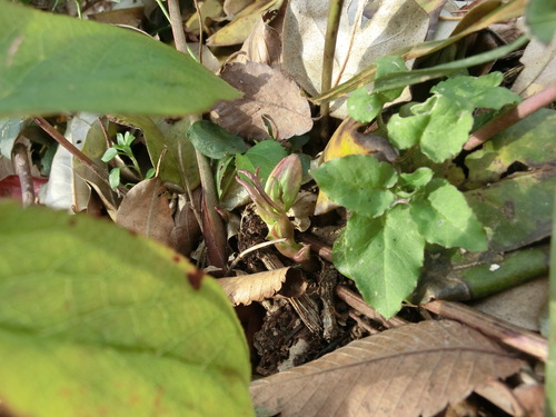 c0156104_2226136.jpg