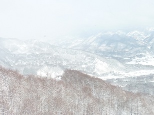 a0177314_22421237.jpg