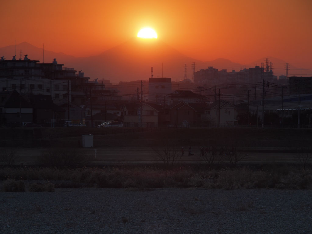 d0192516_1172358.jpg