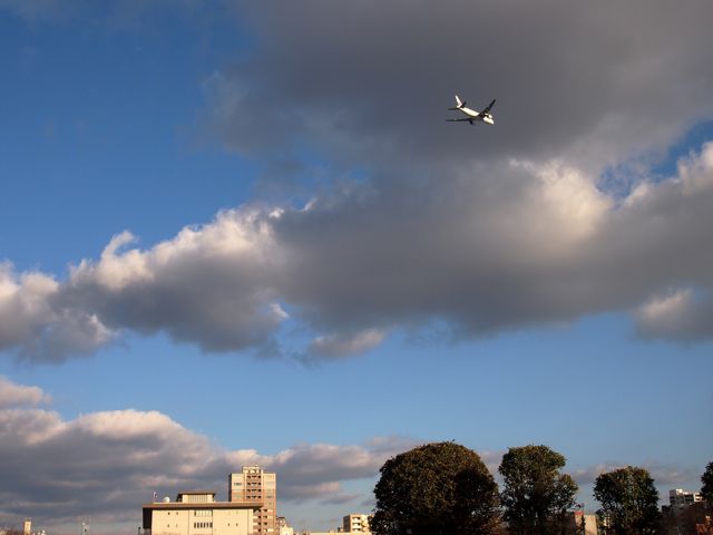 f0217617_14552449.jpg