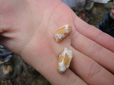 f0142721_22565594.jpg
