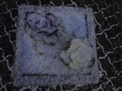 f0142721_23203620.jpg