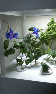 e0067640_13203771.jpg