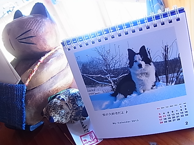 2月だね!_b0207642_1232277.jpg