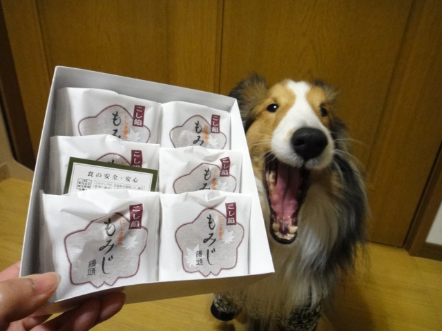 ウキウキ、ウッキー♪_e0195743_15323449.jpg