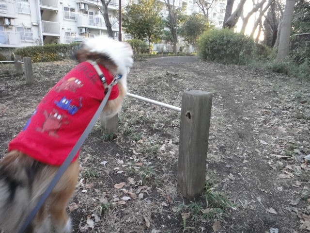 ウキウキ、ウッキー♪_e0195743_15324763.jpg