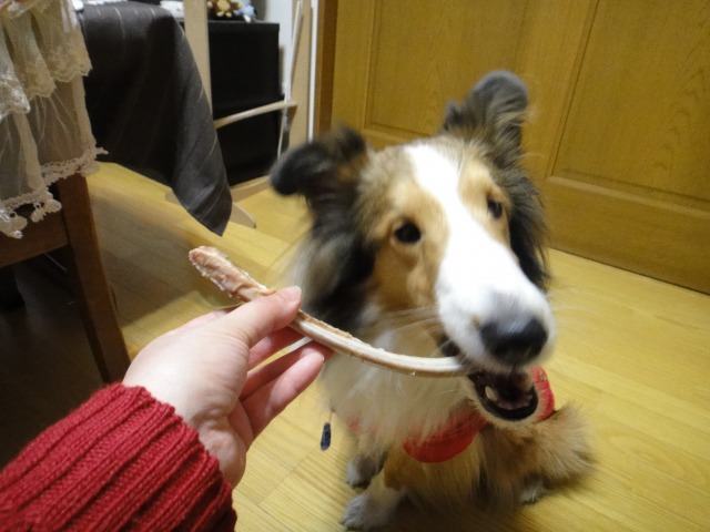 ウキウキ、ウッキー♪_e0195743_15333047.jpg