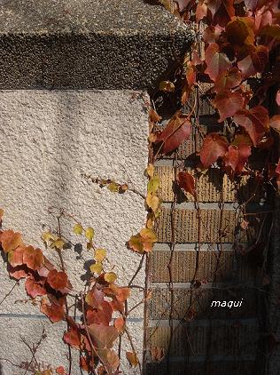 c0098050_21272810.jpg