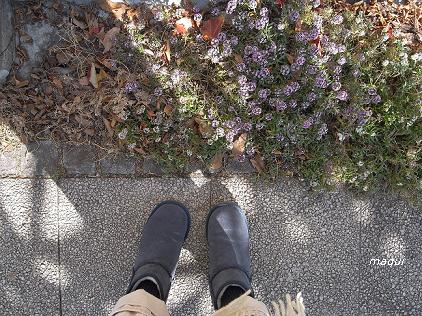 c0098050_21491963.jpg
