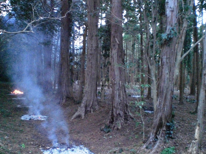 d0098363_1429591.jpg
