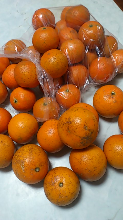 b0149867_19255843.jpg
