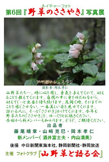 e0304170_21463153.jpg