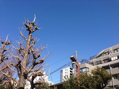 a0187575_0322636.jpg