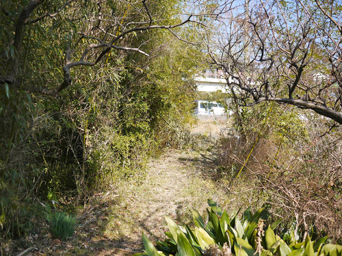 d0175187_19571057.jpg