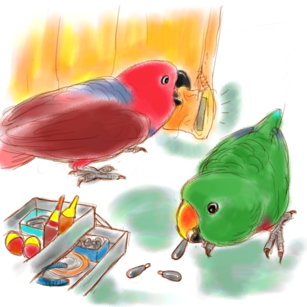 鳥を飼うときに注意すること②放鳥しているときの危険_d0123492_19385889.jpg