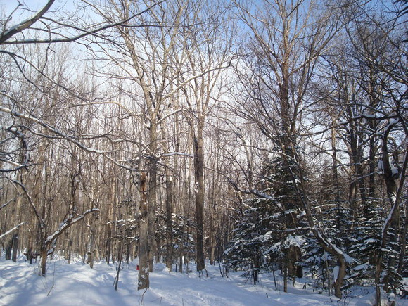 d0198793_1825939.jpg