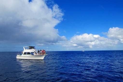 e0160595_14345477.jpg