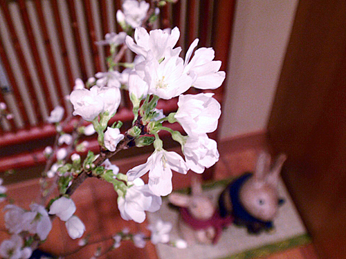 b0172203_17412469.jpg