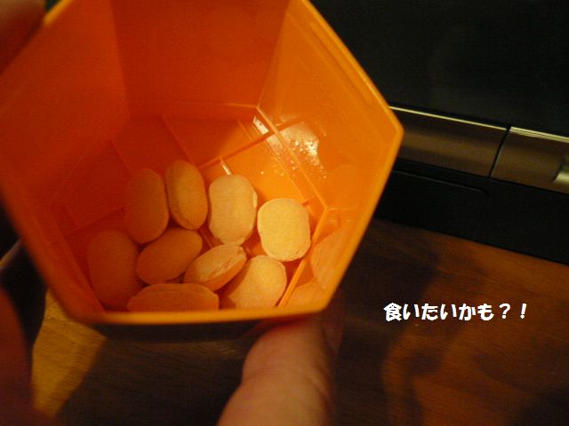 e0094407_21264331.jpg