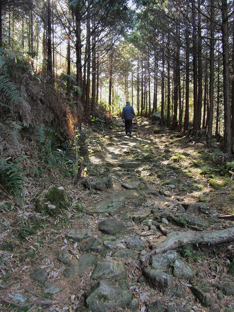 熊野古道　八鬼山越え道を歩く_d0154609_1425404.jpg