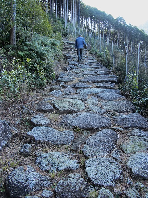 熊野古道　八鬼山越え道を歩く_d0154609_19345044.jpg