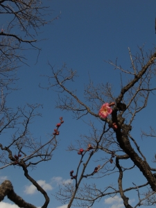c0098813_15193491.jpg