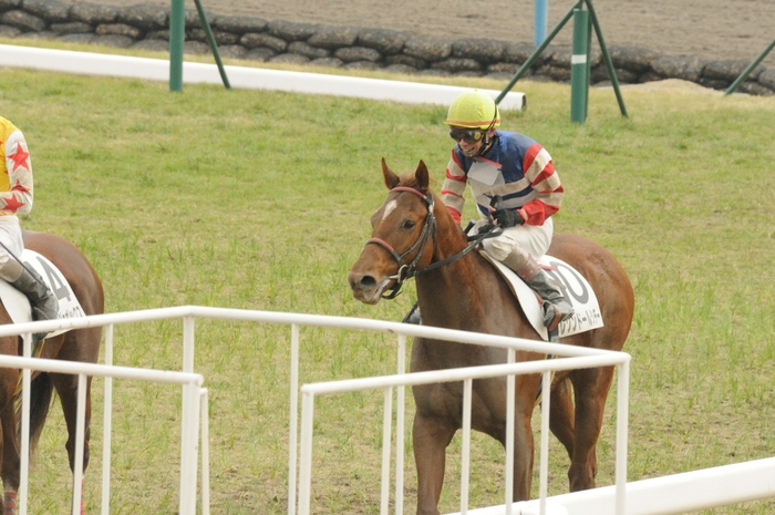 京都参戦　暖かい日でしたが。。。。。。_f0053218_21572995.jpg