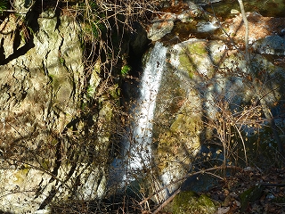 e0284019_20364672.jpg