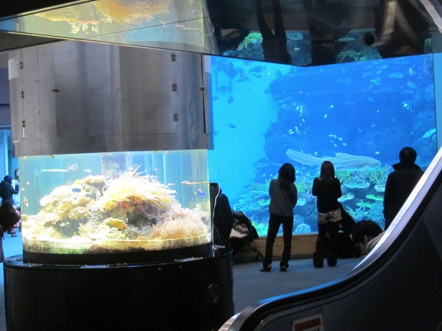 c0225420_1933675.jpg