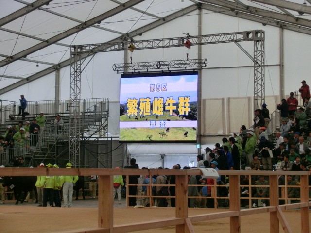 d0237121_1341349.jpg