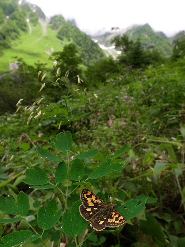 d0054625_18202773.jpg