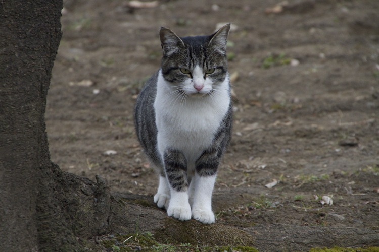 2013初、運動公園_a0229634_12574850.jpg