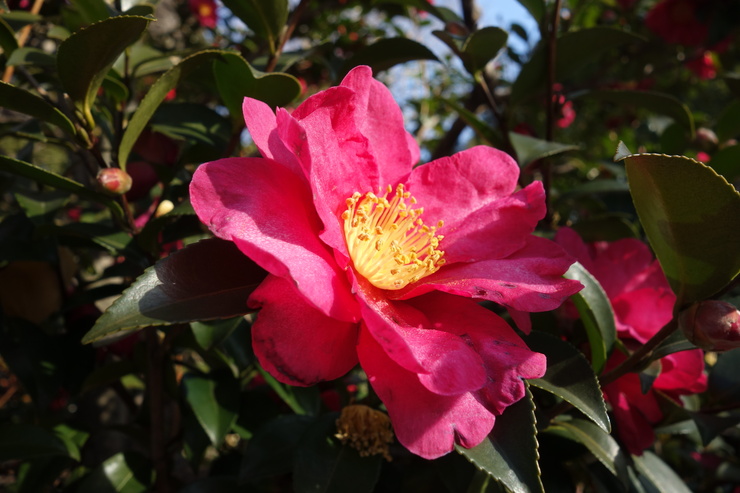 a0287336_04429.jpg