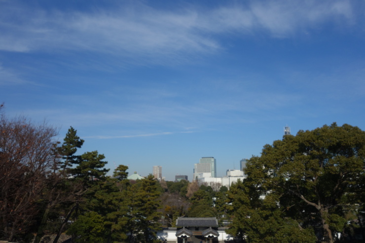 a0287336_2044324.jpg