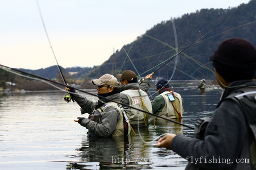 長良川のライズフィッシング開幕しました Fly Fishing Total Support Teal 長良川のライズフィッシング開幕しました Fly Fishing Total Support Teal