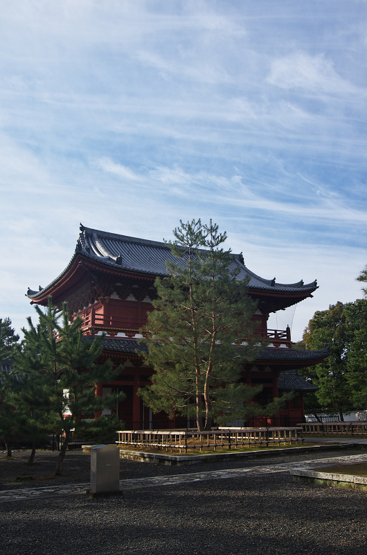 大心院・切石の庭（妙心寺塔頭・大心院・前編）_f0155048_1624230.jpg