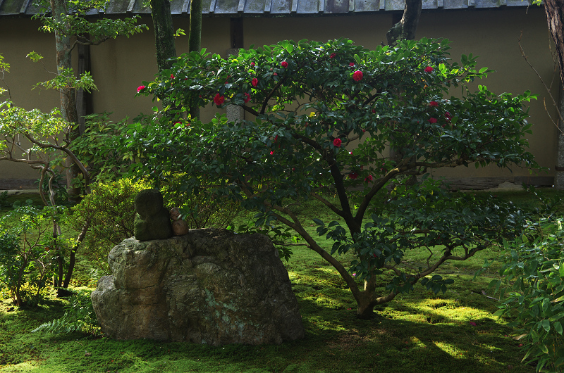 大心院・切石の庭（妙心寺塔頭・大心院・前編）_f0155048_16251341.jpg