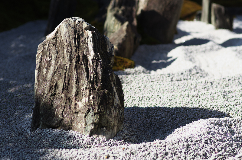 大徳寺の名庭シリーズ２・瑞峯院（前編）_f0155048_17165474.jpg