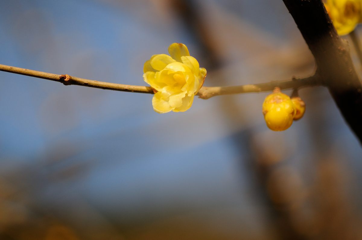f0224648_651291.jpg