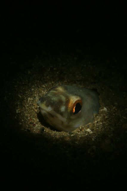 e0314451_13352313.jpg