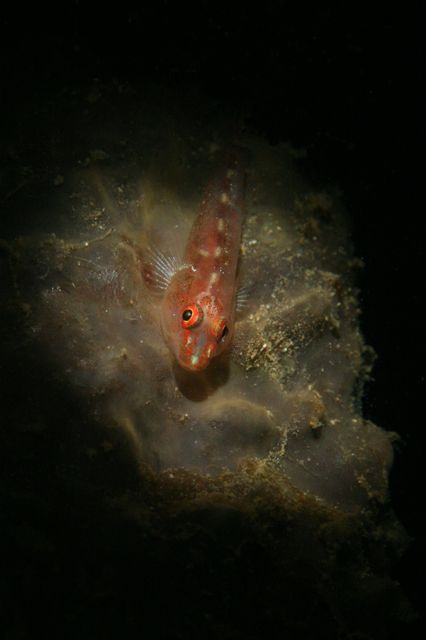 e0314451_1335366.jpg