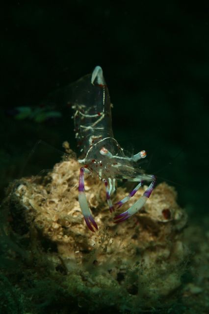 e0314451_13354680.jpg