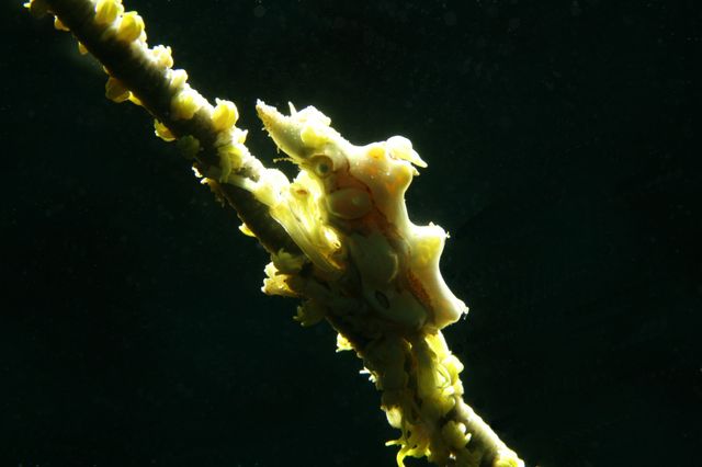 e0314451_133554100.jpg