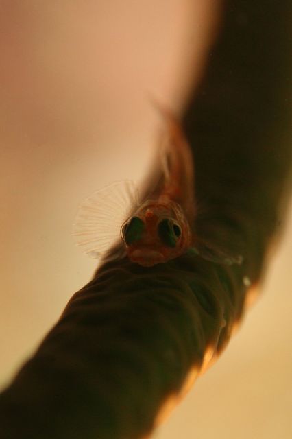e0314451_13581100.jpg